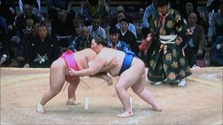 平成28年大相撲九州場所9日目　逸ノ城　英乃海