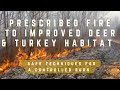 PRESCRIBED FIRE FOR IMPROVED DEER & TURKEY HABITAT