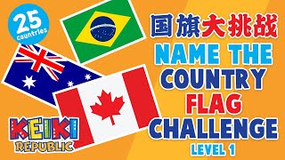 国旗大挑战-第一弹 Name the Country Flag Challenge