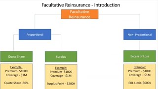 Facultative Reinsurance