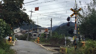 JR中央本線　警報灯が少し飛び出ている踏切