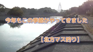 今年もこの季節がやってきた　【北方マス釣り場】