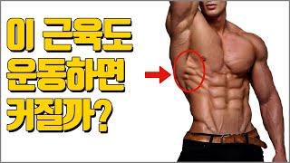 이 전거근이라는 근육도 비대가 가능할까? Serratus anterior