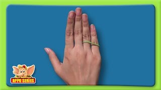 Learn a Trick - Jumping Rubberband