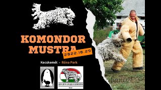 KOMONDOR MUSTRA