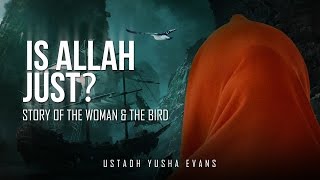 Is Allah Just? - Story Of The Woman \u0026 The Bird