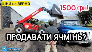 Ячмінь по 1500!!! Це дно...що залишиться фермерам. Продавати чи тримати зерно?