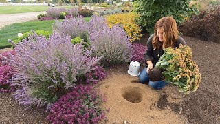 Homemade Peach Ice Cream + Planting Three Gorgeous Perennials with Food Names! 😁🍑🍫