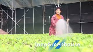 Growing Seedlings with Plastic Film Arched Greenhouses – Incredible Results!