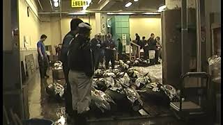 Visit to Tsukiji fish market – Yoshinkan Aikido Senshusei.