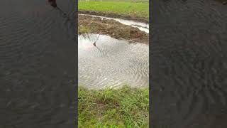 विहिरीतून पाणी बाहेर वाहत आहे | Water flowing outside of well |