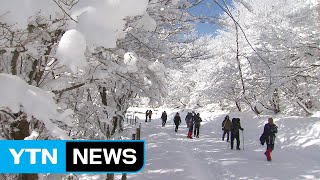 눈 쌓인 한라산 ...설경에 매료된 등산객들! / YTN