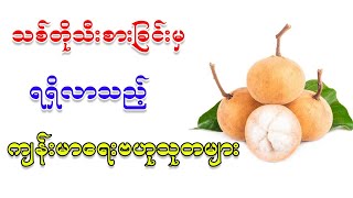 ကျန်းမာရေးအတွက် ကောင်းကျိုးများတဲ့ သစ်တိုသီး