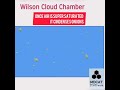 Wilson Cloud Chamber Working Animation