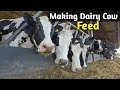 Making Cheap and Quality Dairy Animals Feed