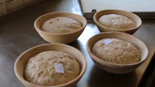 Bread making from ancient cereals