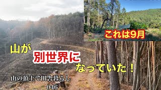 【田舎暮らし・山頂】別世界に迷い込んだ様な景色