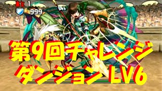 【パズドラ】第9回チャレンジダンジョンLV6 回復なし 赤ソニアｘ呂布（呂布ソニ）