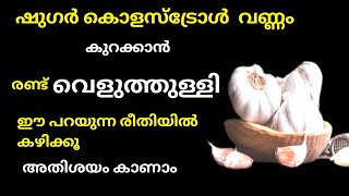 രണ്ടു വെളുത്തുള്ളി ഇങ്ങനെ കഴിച്ചാൽ ഷുഗറിനും കൊളെസ്ട്രോളിനും മരുന്നായി മാറും 🌿👌💯 garlic benefits