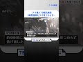 約9時間、捜索も見つからず　クマが観光施設「月うさぎの里」に侵入　石川・加賀市｜tbs news dig shorts