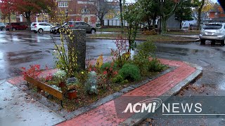 Completed Sidewalk Renovation