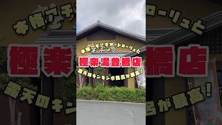 【ウマッドMAX】ぽこピーとコラボしてる極楽湯豊橋店の極上サウナが最高すぎた！【ほんま世紀末やで】