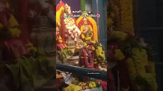 காளிப்பட்டி முருகன் துணை#Murugan#kalippatti#murugan#Temple#om ennum#song#shorts#tamil#@Janudevasree