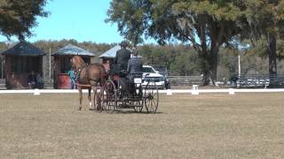 2-20-2015 KOS Dressage Kent Brownridge