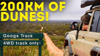 🤔Better Than The Simpson Desert❓ Hitting the Dunes Of The Googs Track