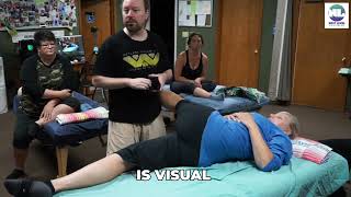 Low Back Pain Advanced Table Based Techniques for Manual Therapy Chronic Pain Issues and Mobility