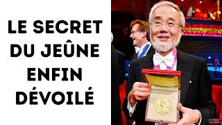 Comment le Secret du Jeûne de 24h a Reçu le Prix Nobel