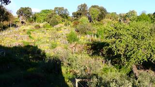 Presa | Etnella Sicilian Eco-Agriturismo Notti Stellate | 2017