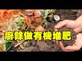 廚餘做有機肥料【美新社】