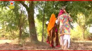 Pilo To Odd Jeera Main Chali - Amlido  - Rajasthani Songs