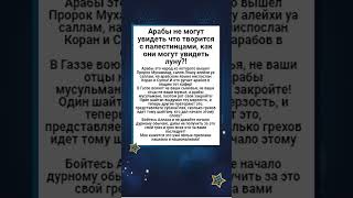 Арабы не могут увидеть что творится с палестинцами, как они могут увидеть луну?! Ответ на эту ересь!