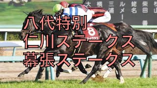 八代特別 仁川ステークス 幕張ステークス 土曜日JRA3場メインレース