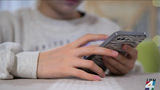 Cyber safety: Protect your child from predators online