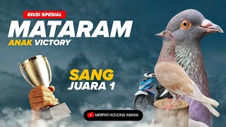 LOSS ATAS TUSUK BAWAH‼️EDISI SPESIAL MATARAM Anak VICTORY Raih JUARA 1 MOTOR NEW Lapak MANDALIKA Pkl