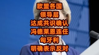 欧盟各国领导层达成共识确认冯德莱恩连任，匈牙利明确表示反对！