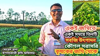 এই ভিডিওতে সরাসরি কৃষকের জমি থেকে দেখানো হয়েছে কীভাবে এক সাথে তিন টি সবজি উৎপাদন করা সম্ভব হয়