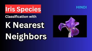 Iris Species Classification with KNN | K Nearest Neighbors