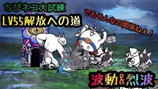 【にゃんこ大戦争】ちびネコ大試練LV55解放への道　簡単攻略