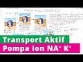 Mekanisme Transport Aktif Pompa Ion Natrium Kalium