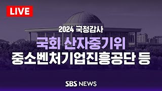 국회 산업통상자원중소벤처기업위원회 국정감사 - 중소벤처기업진흥공단 등 / SBS