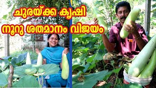 ചുരയ്ക്ക കൃഷി ചെയ്താൽ നൂറു ശതമാനം വിജയം  Bottle Gourd Cultivation  Success Story of Bottle Gourd