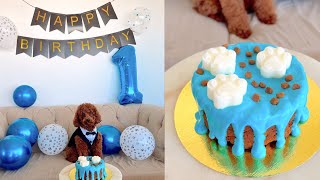 LE FESTEJE EL CUMPLE A MI PERRO 💙 Receta de pastel para perritos 🐶