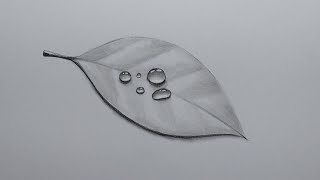 Pencil Drawing And Shading Realistic Water Drops On A Leaf