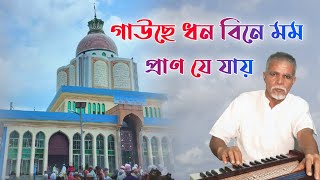 গাউছে ধন বিনে প্রাণ যে যায়। ✍️আল্লামা হাদী। মাইজভাণ্ডারী বিচ্ছেদ গান। 🎤 আবু তাহের। Bhandari Song।