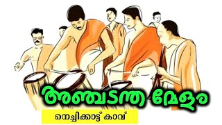 നെച്ചിക്കാട്ട് കാവ് അഞ്ചടന്ത മേളം | അഞ്ചടന്ത മേളം | Nechikkattu kavu 👌