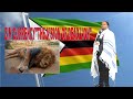 ZIM'S 🇿🇼 DEAD LION VISION OF 2023.BY PROPHET D.SOLOMONS THE 